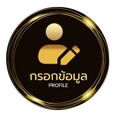 โปรไฟล์ 2รับ100 wallet
